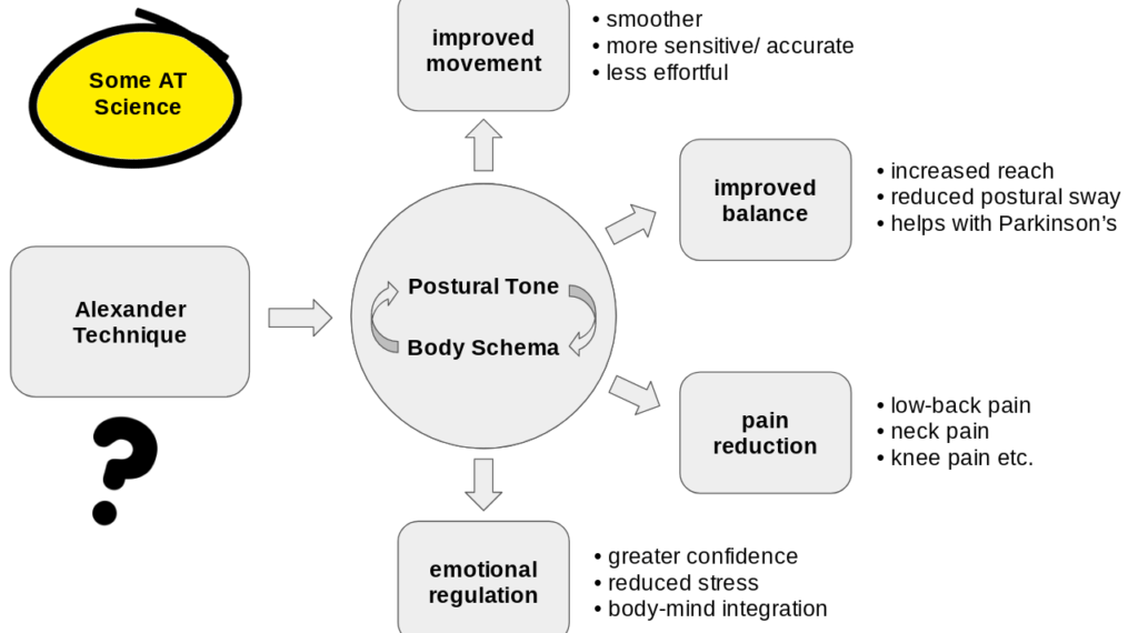 Alexander Technique science summary e1649255029892