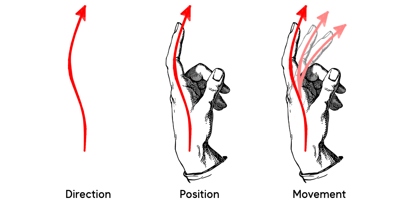 Alexander Direction Position and Movement